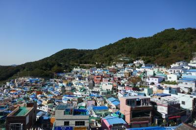 一泊二日で釜山アライグマカフェ&甘川文化村 5