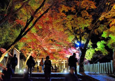 情緒纏綿 近江逍遥⑤永源寺（エピローグ）