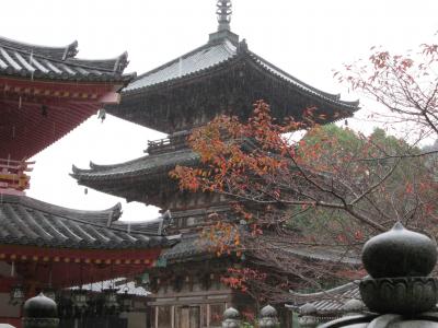 西国三十三カ所巡り　壺阪寺