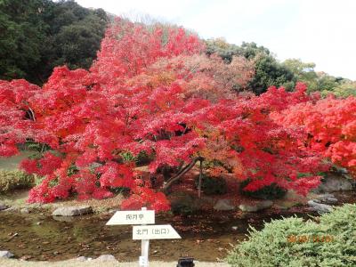 讃岐漫遊記