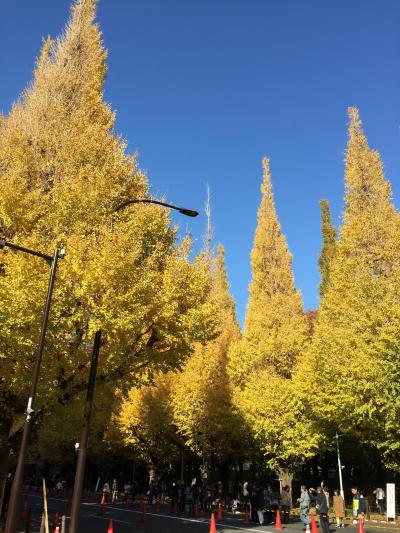 東京都内で紅葉狩り。六義園と神宮銀杏並木。