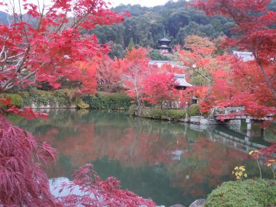 バースデイ旅行京都＆神戸　（２）永観堂の紅葉