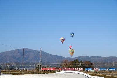 カラフルな気球が見たい！白髭神社と琵琶湖横断熱気球大会　―湖西一泊二日の旅―