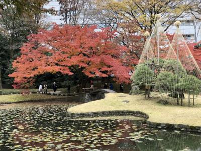 マイチャリで、都内の紅葉庭園巡り