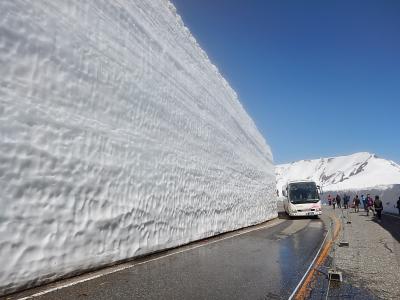 立山：立山黒部アルペンルートからの雪の大谷ウォーク