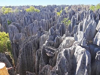 マダガスカル 世界遺産 に関する旅行記 ブログ フォートラベル
