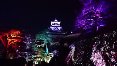 光の祭典チームラボin 高知城