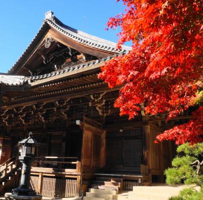 播磨国一の宮と書写山の紅葉