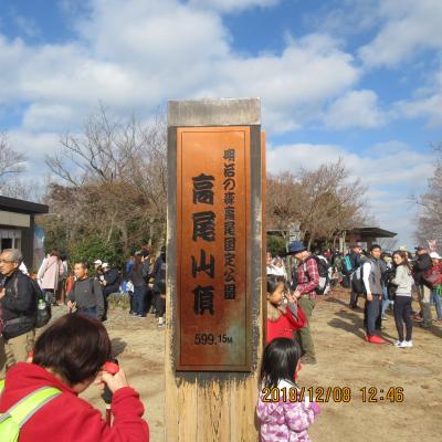 東京の山：高尾山ハイキング