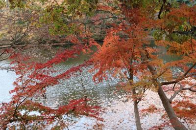 震生湖の水辺に揺らぐ紅葉