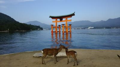 初秋の宮島　母子旅行