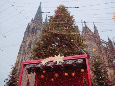 本場！クリスマスマーケット！！  Frankfurt am Main &amp; koln