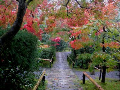 とうとう桂離宮、見てきました！　　　　　　【4】《京都アートの旅　２日目-その２》　　　　　鷹峯のつづき光悦寺、そして今宮神社