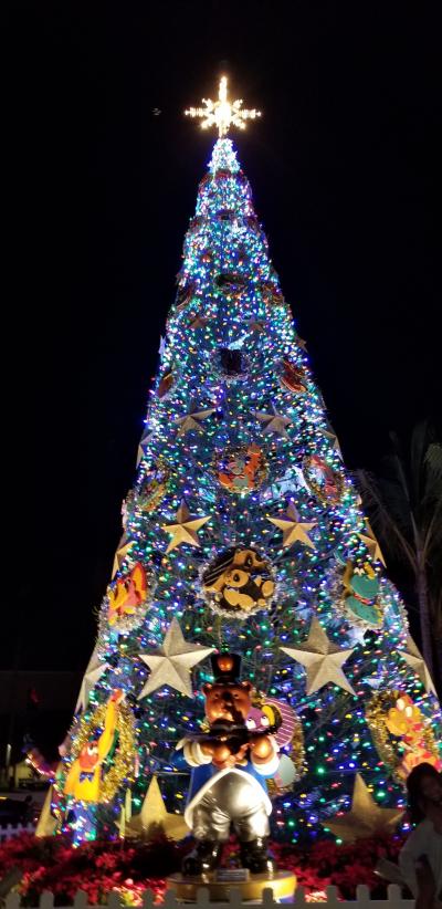 Hawaii☆二人旅☆2018☆《4日目☆シーライフパーク/ドルフィンロイヤルスイム~クリスマスイルミネーション》