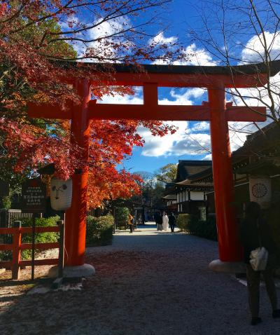 12月の紅葉　初冬の京都1泊2日旅　下賀茂／南座編