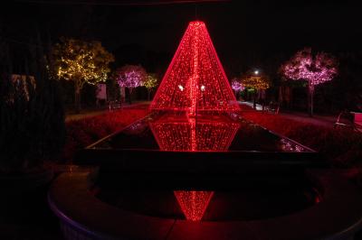 2018年も。こじんまりした寺が池公園のイルミ＆ご近所イルミ