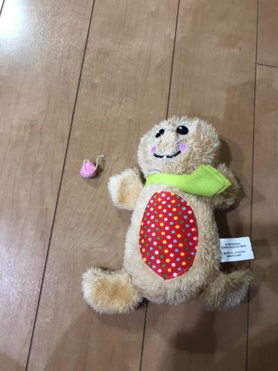 2018 ブラックフライデーin LAS VEGAS ショー&お土産編