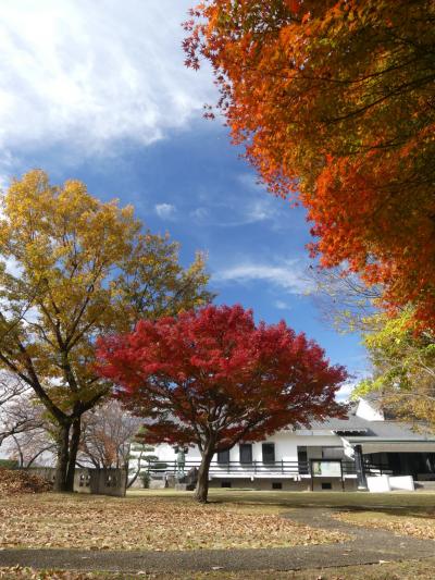 太田市歴史公園の紅葉_2018（1）_11月下旬、２～３割色付いていました。（群馬県・太田市）