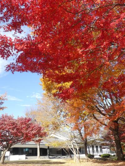 太田市歴史公園の紅葉_2018（2）_12月上旬、見頃になりました。（群馬県・太田市）