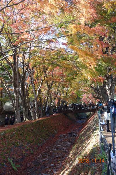 河口湖紅葉回廊；ツアー最後の日の訪問観光場所