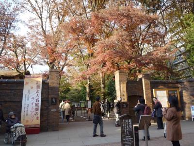 六義園の紅葉・巣鴨地蔵通りを散策＆さかなや道場で一献 2018/12/08