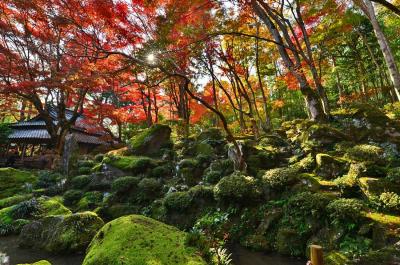 日本の原風景を留めた隠れ里.「石の寺」教林坊の紅葉と庭園