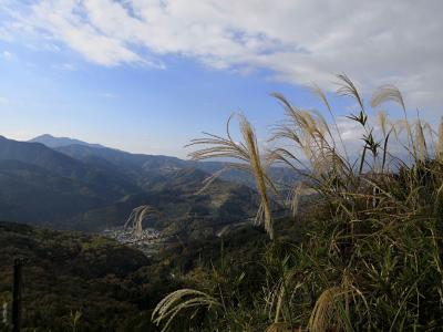 大野山ハイキング