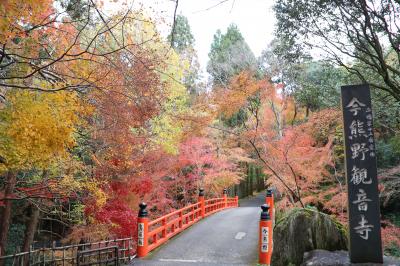 2018年12月京都洛南の紅葉