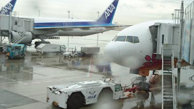 長崎空港でカステラを買って帰るだけの旅。ANA 777-200 HELLO 2020 JET