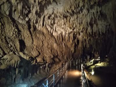 人生初沖縄。12月冬の関東から気温20℃の沖縄へ。週末1泊2日沖縄旅行(2018/12/15土～16日)②<2日目>