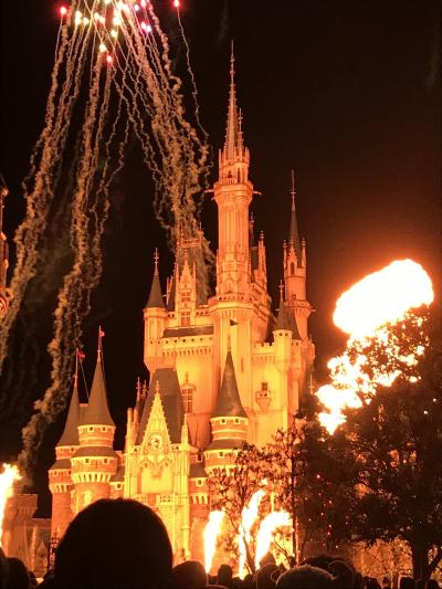 【2018・12】東京ディズニーリゾート35周年　  “Happiest  Celebration!” 