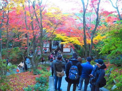 2018秋の京都紅葉鑑賞　２