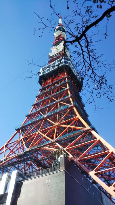 今年最後のウォーキング　新宿３丁目～神宮外苑～六本木～東京タワー～日比谷　　東京まちさんぽ