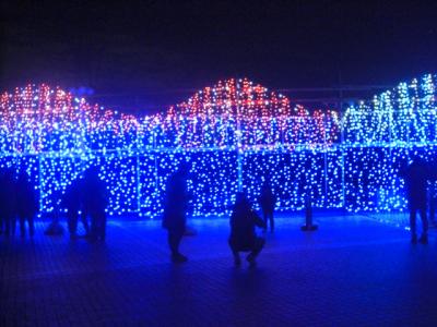 大阪　寺ヶ池公園でクリスマスイルミネーション パパ初登場