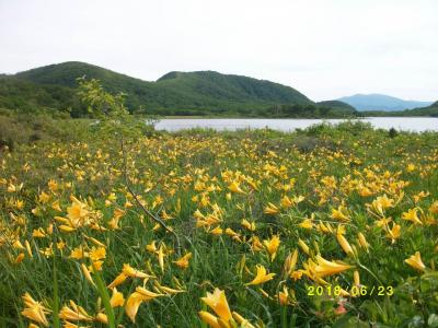 秘境　雄国沼湿原