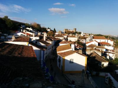 ポルトガル　ハイライト周遊12日間　13