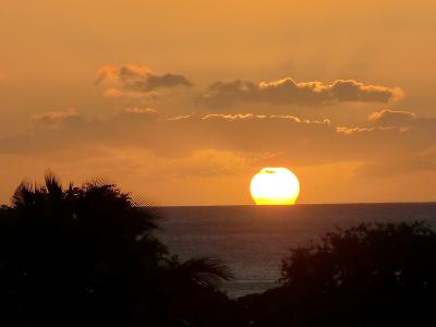 15年振り位のハワイ ホノルル ワイキキ　ビーチリゾートです
