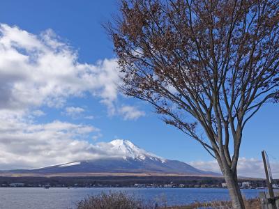 富士山一周 2018.12.15 2.精進湖から富士山を時計回りに半周自宅へ