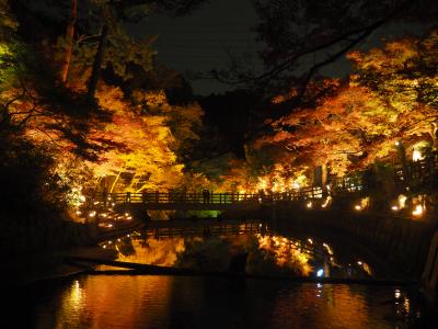 2018岩屋堂公園の紅葉