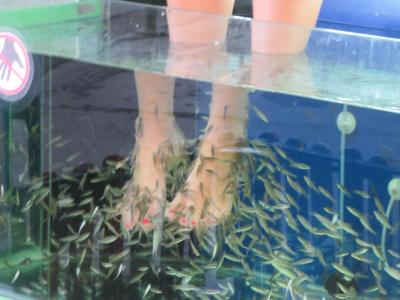 2018年ﾁｪﾝﾏｲ・ﾛｲｸﾗﾄﾝ・ｺﾑﾛｲ祭・・・（ｿﾝﾃｵ・ﾄｸﾄｳそしてｳｫｰｷﾝｸﾞ）・・そのⅤ