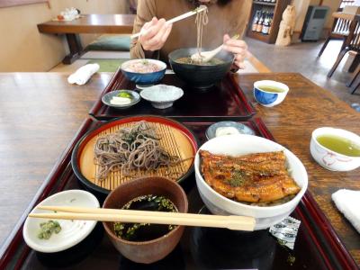 うなぎと和食 ひだかの昼食　三島市佐野体験農園 キャベツの追肥 白菜の収穫