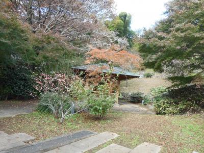 久しぶりの熱海③と箱根・湯河原