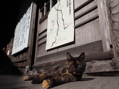 2019年2月 週末温泉旅 in 大分 ～ 国東半島、「山香温泉 風の郷」「壁湯温泉 福元屋」