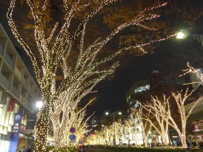 ２０１８年イルミネーションの第７段は☆☆表参道通りのケヤキ・イルミネーション2018☆☆ !!O(*^-^*)O