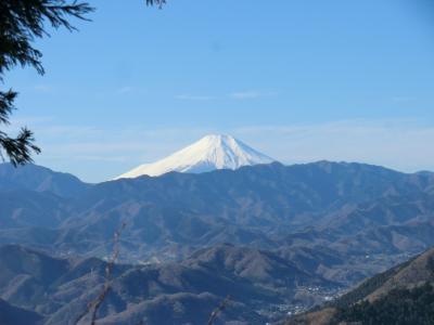 2018冬　甲州道中から高尾山ハイキング