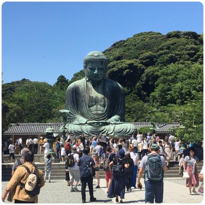 鎌倉日帰 : 御守り返納と大仏、長谷寺
