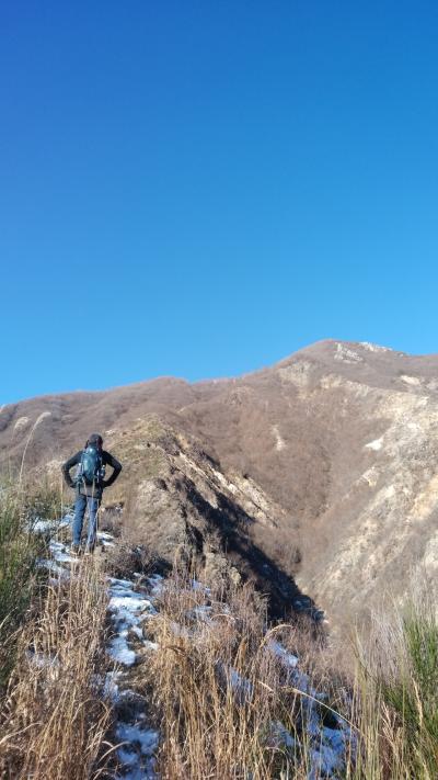 中倉山　石塔尾根コース