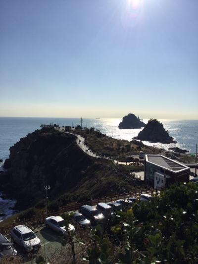 食い倒れました、釜山で