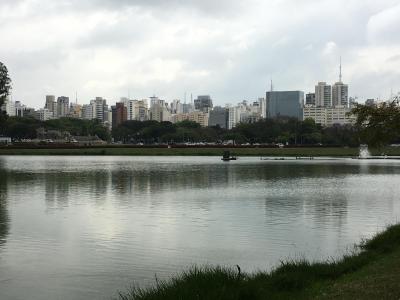 南米大陸の大国ブラジルの２大都市を巡る旅（2018年ブラジル⑥）～サンパウロ・イビラプエラ公園、オスカー・フレイレ通り等を散策～
