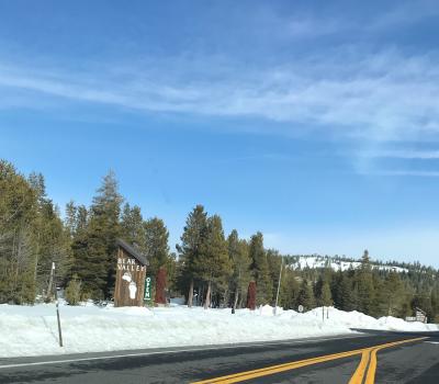 Bear Valley ~ Lake Alpine 親子＆犬でサンフランシスコベイエリアから日帰り雪景色